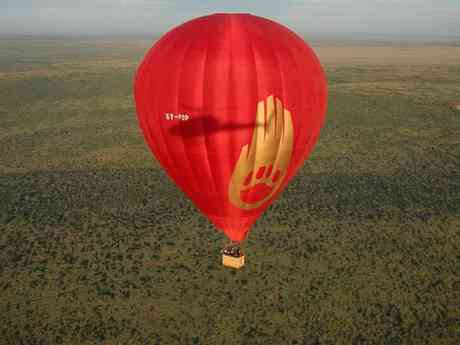Majestic Mara Balloon Safari
